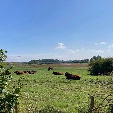 Bades Huk Haus 15 60 - Og Lejlighed